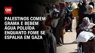 Palestinos comem grama e bebem água poluída enquanto fome se espalha em Gaza | BRASIL MEIO-DIA