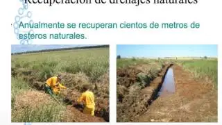 Plan de Control de Mosquitos