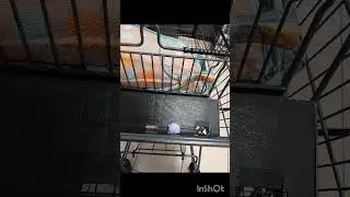 Lilo goes shopping