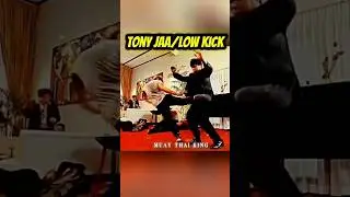 Tony jaa low kick💥⚡ #tonyjaa #lowkick #muaythai #kickboxing #knockout