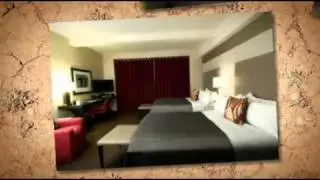 Pet Friendly Hotel New York