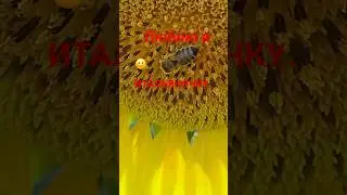 🙂 Я такая классная итальяночка ..