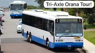 STA Tri-Axle Orana Tour with M/O 3419 and M/O 3420! | Bus Vlog #49