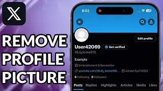 How To Remove Profile Picture On X
