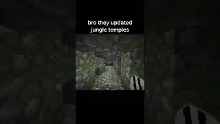 Minecraft Jungle Temple Update