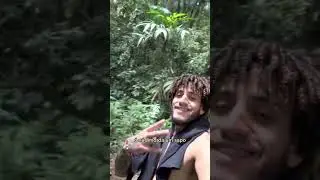 PROVING that FROGS are FRIENDS | Vini Patrick