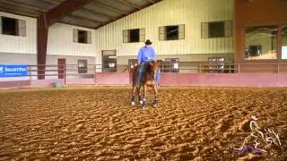 Moving the Horses Hip - Tom McCutcheon