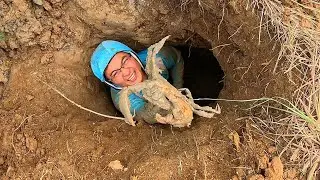 偶遇罕见“蟹王洞”，连渔夫都激动起来，抓出巨蟹的瞬间高兴坏了
