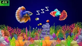 Lullabу and Calming Undersea Animation  Soothing fishes Baby Ocean Dreams