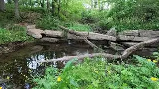 Relaxing Water Sounds - Stream Trickles over Old Mill Dam