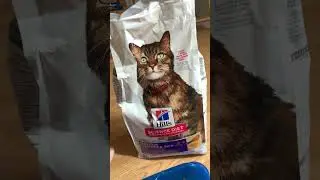 Switched from the c/d diet to this and my kitty loves it! #catfood