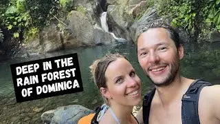 Hiking in the Rain Forest of Dominica - Rewarding Swim in a Natural Pool