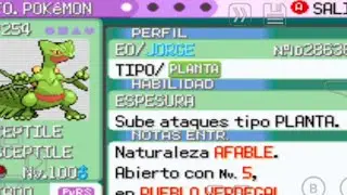 C&oacute;mo criar, entrenar EVs y move set recomendado para Sceptile en competitivo 3&ordf; gen