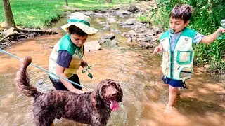 Crayfish, waterbugs, creek adventures