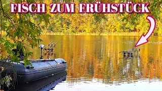 Voller Erfolg beim Karpfenangeln am grossen See im Oktober 2023.
