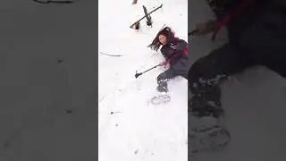 Snow Beauty #snow #shortvideo #winter #shorts #funny #short
