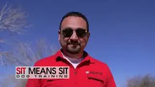 Sit Means Sit Dog Training Long Beach - (562) 507-1577