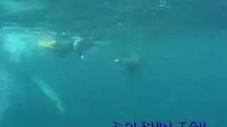 みらいじま20080516_10