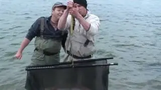 World Record Rainbow Trout - Our Story 3