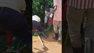 If you are in Africa These wild animal enter in your house🤣 #trending #viral #shorts