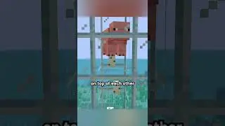 peta won't like this