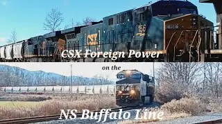 Foreign Power & Fracking Sand on the NS Buffalo Line | Volume 1