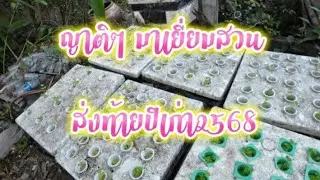 ญาติๆมาเยี่ยมสวน ส่งท้ายปีเก่า 2568