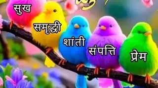 आपको यह लाइव वीडियो कितना फनी लगा अपनी राय कमेंट में बताएं