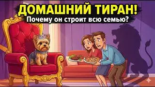 &laquo;Воспитание йорка с нуля: правила дома, мотивация и синдром маленькой собаки!&raquo;