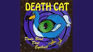 Scat-a-cat