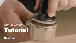 The Barista Pro&trade; | How to tamp and trim your coffee dose for optimal extraction | Breville USA