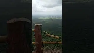 Deep forest in mannanur