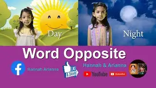 Let's learn Word Opposite together
