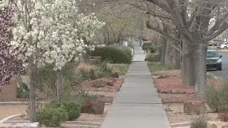 Heat map ranks overall 'charm' of Albuquerque neighborhoods