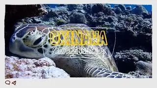 【初投稿】石垣島旅行vlog