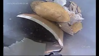 The object was found in deep well by #borehole #camera