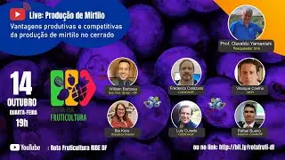 Live: Produção de Mirtilo com o Professor Osvaldo Yamanishi da UnB