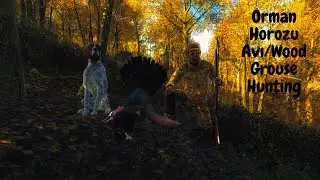 theHunter Classic Türkçe EFSANE Orman Horozu Avı/Wood Grouse Hunting