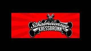Kressbronner Heimatball 1995 Auftritt der Schalmeien 