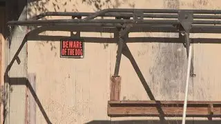 Woman arrested after two Clay County deputies injured in on-duty dog attack
