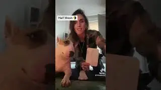 Half Moon standing yoga pose and benefits 🙌🧘&zwj;♀️🧘🧘&zwj;♂️
