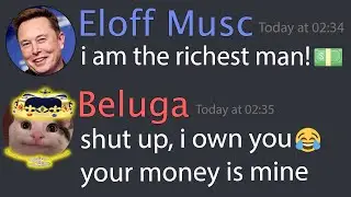 When Beluga Scammed Elon Musk...