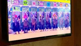 Almaden Valley Preakness Weekend May 2019