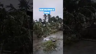 Super Typhoon Opong at Masbate Area 🤦&zwj;♀️🤦&zwj;♀️ 🙏🙏 #fypviralシ #fyourpage #typhoon #shortsviral