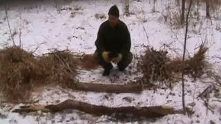 Natural Insulation Beds