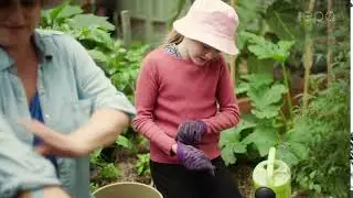 Stay safe from lingering lead - Gardening