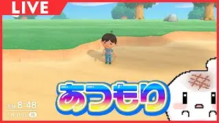 ◀︎2026/1/17▶︎ 【#あつまれどうぶつの森 】～わが城～