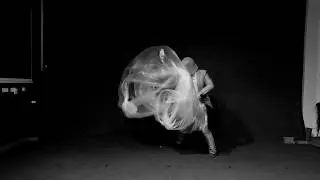 Moondog: Shadow Ballet - Schleswig-Holstein Musikfestival an der Muthesius Kunsthochschule