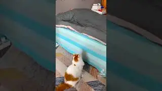 wee