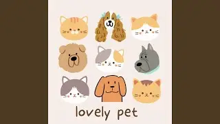 lovely pet